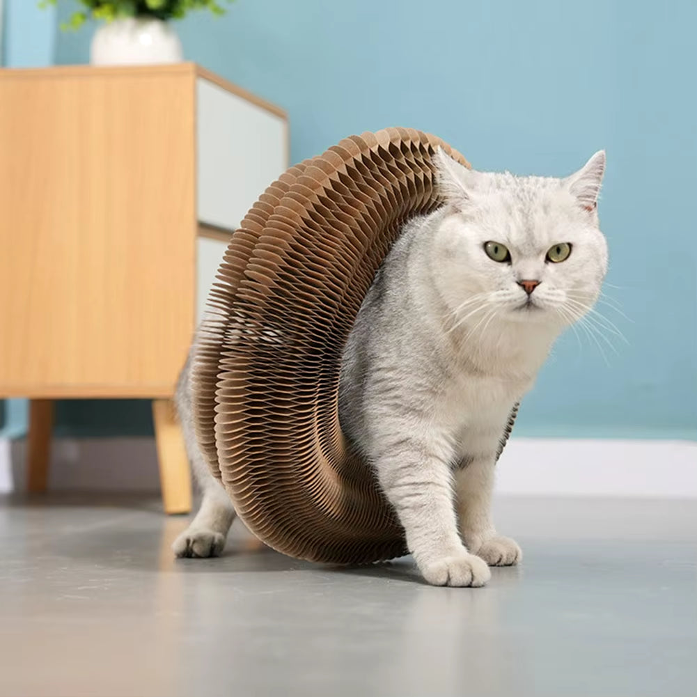 PurrfectScratch Magic Organ Cat Scratching Board – Interactive Claw Grinder & Fun Toy for Cats
