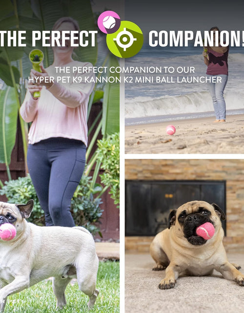 Load image into Gallery viewer, MINI Tennis Balls for Dogs (Pet Safe Dog Ball Dog Tennis Balls for Exercise &amp; Training) Dog Ball Interactive Dog Toys Work with  K9 Kannon MINI Dog Ball Launcher - 4 Pack MINI Pink
