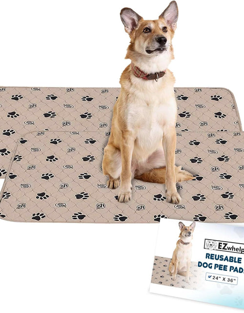 Load image into Gallery viewer, Reusable Dog Pee Pads for Dogs - Waterproof Potty Training Pee Pad - Washable Dog Training Pads W/ Rounded Corners Puppy Pad - Lightweight &amp; Laminated Whelping Pad Dog Mat Pet Supplies - 2 Pk

